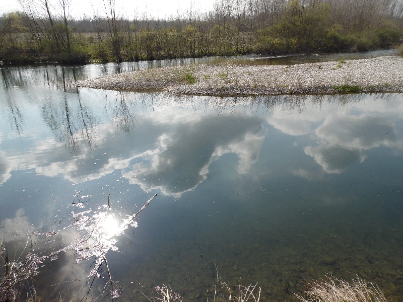 Parco del ticino 7.4.13